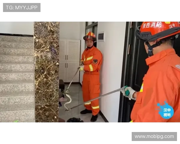 凯时怎么样：平台安全保障措施与个人信息保护的全面解读