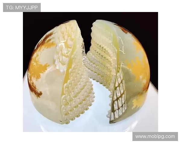 尊龙凯时人生就是搏：从新手到高手的实战经验分享与心得