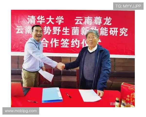 尊龙公司在网络游戏行业中的合作伙伴关系与战略布局