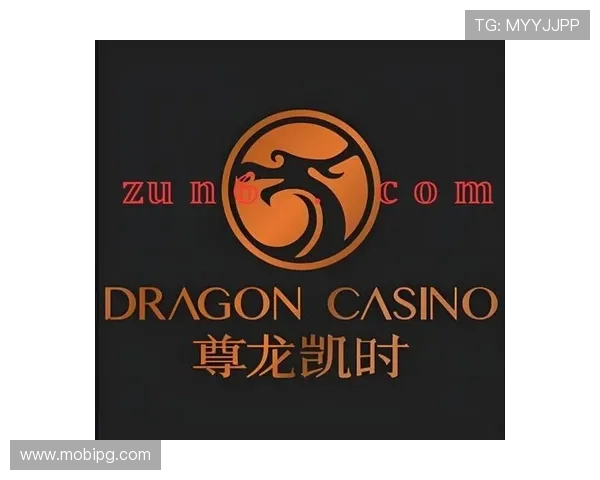 尊龙凯时手机官网介绍官方客服支持与常见问题解决方案