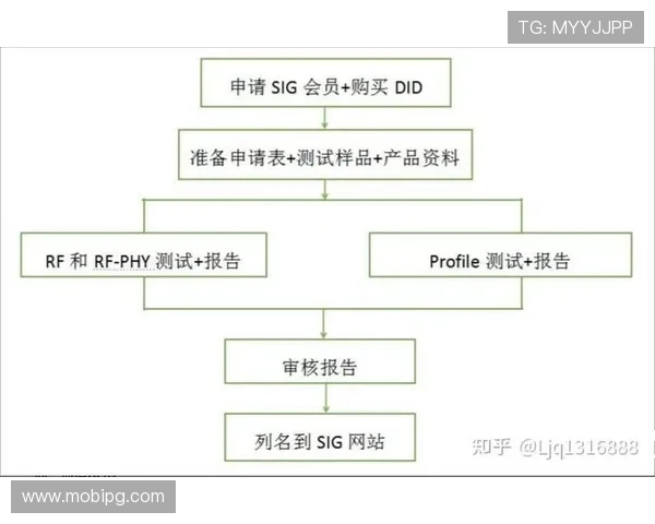 凯时真人版会员注册指南全面解析新手快速注册攻略